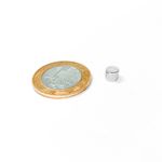 Ímã Neodímio Ø 6x5 mm N35 Ímã Neodímio Ø 6x5 mm N35
